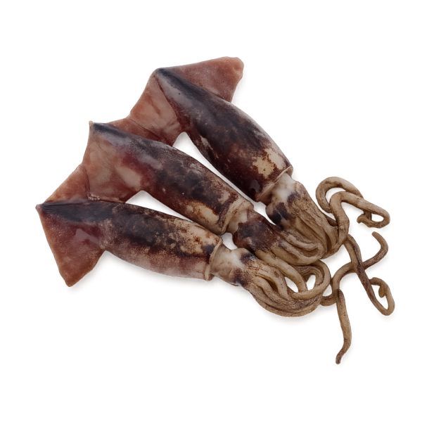 Black Squid